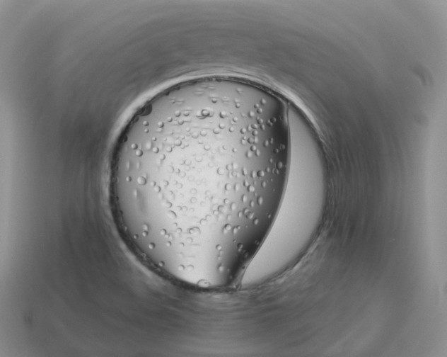 X0000114031508200910161808