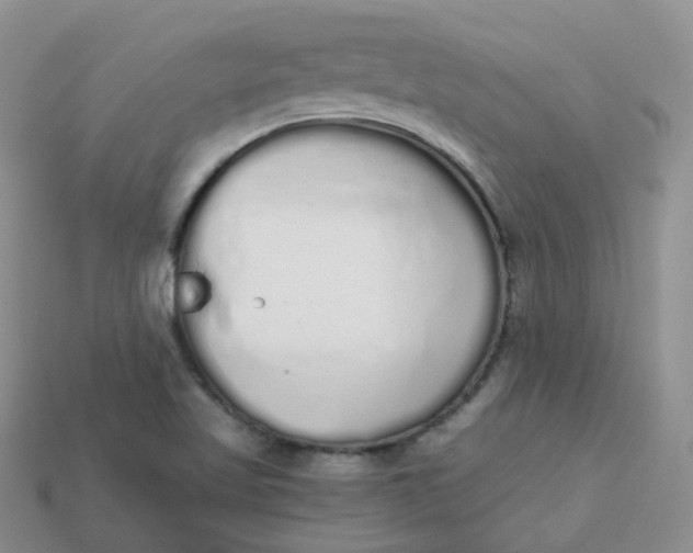 X0000114031509200910161808