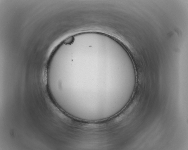 X0000114031510200910161808