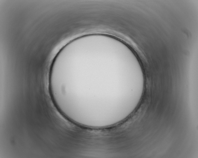 X0000114031512200910161808