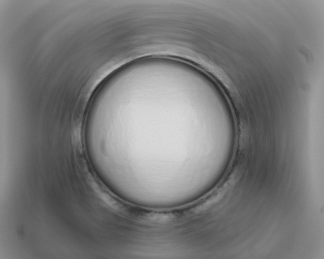 X0000114031513200910161808