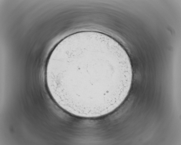 X0000114031514200910161808