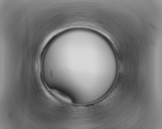 X0000114031515200910161808