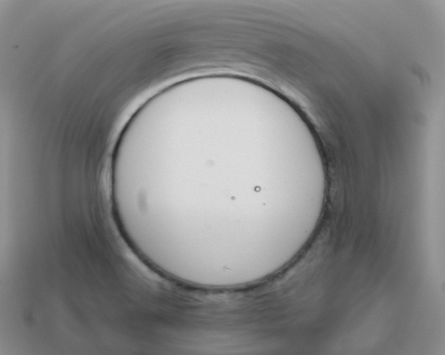 X0000114031516200910161808