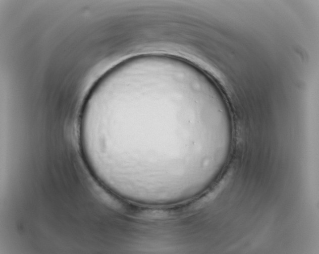 X0000114031517200910161808