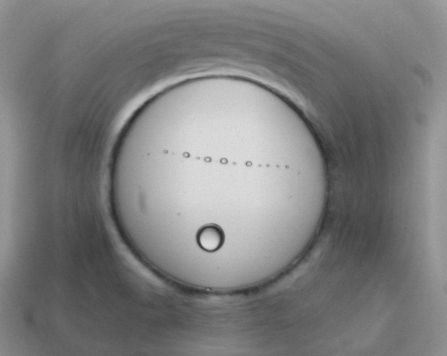 X0000114031518200910161808