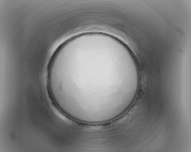 X0000114031519200910161808