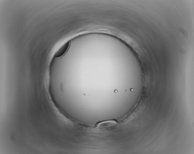 X0000114031520200910161808