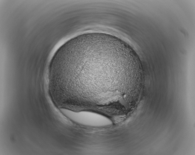 X0000114031522200910161808