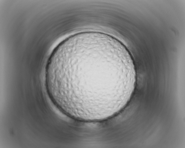 X0000114031523200910161808