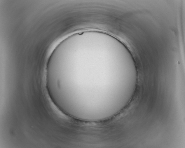 X0000114031524200910161808