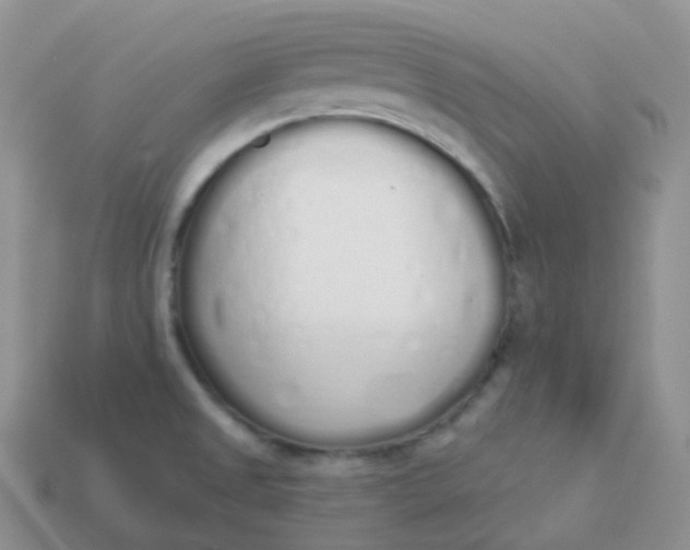 X0000114031525200910161808