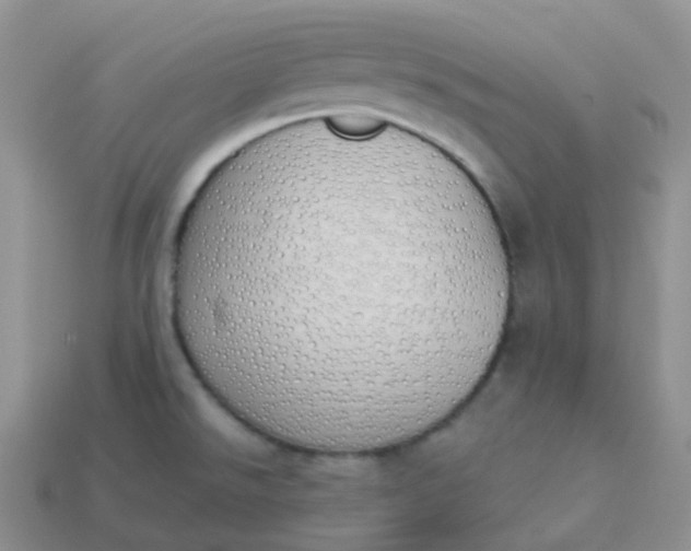 X0000114031526200910161808