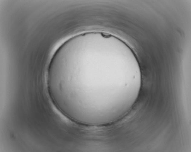 X0000114031527200910161808