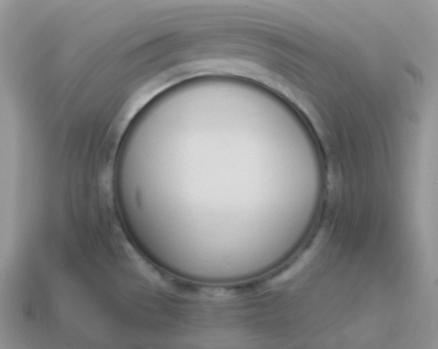 X0000114031529200910161808