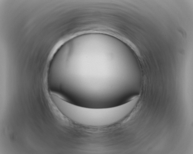 X0000114031530200910161808