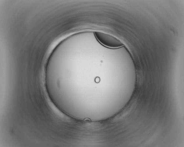 X0000114031531200910161808