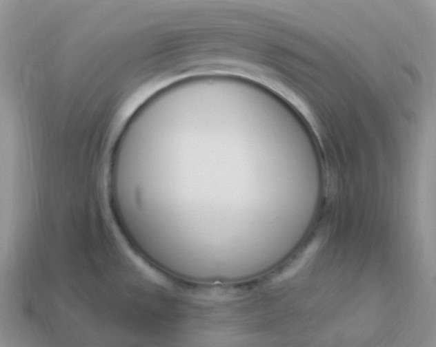 X0000114031533200910161808