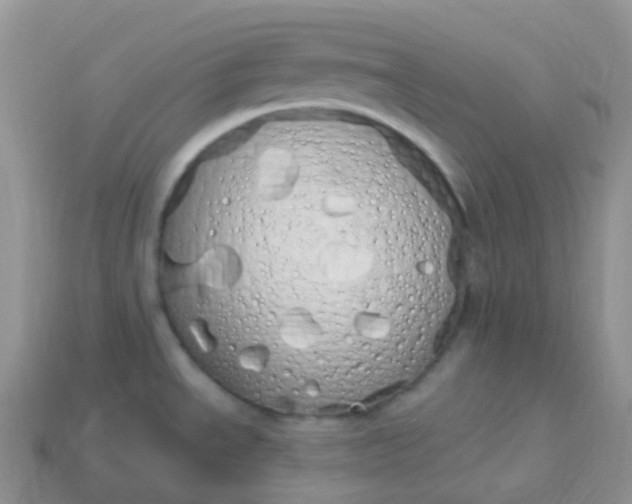 X0000114031534200910161808