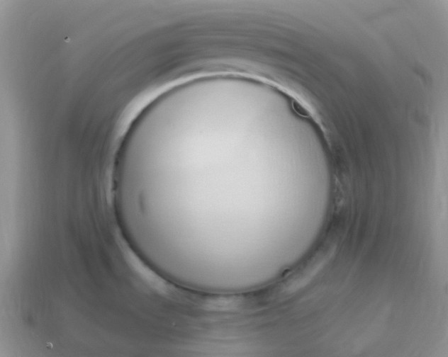 X0000114031535200910161808