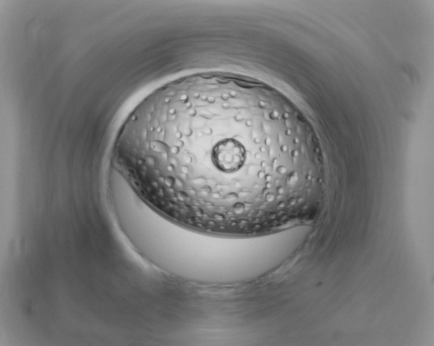 X0000114031536200910161808