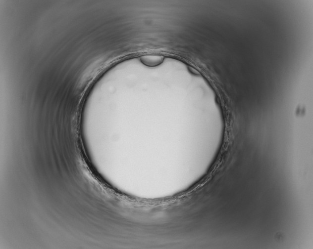 X0000114030002200910231909