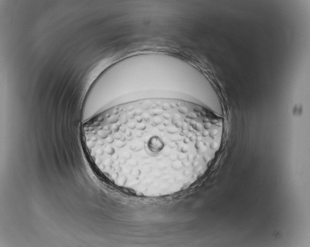 X0000114030003200910231909