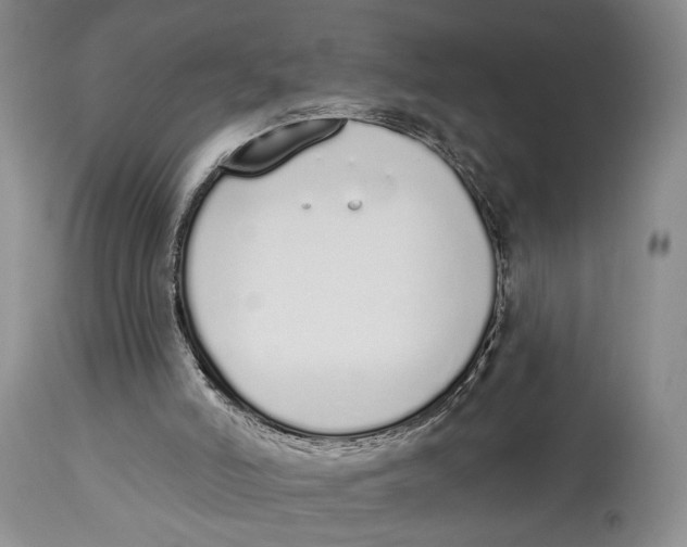 X0000114030006200910231909