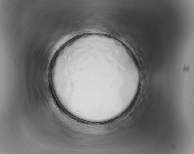 X0000114030008200910231909