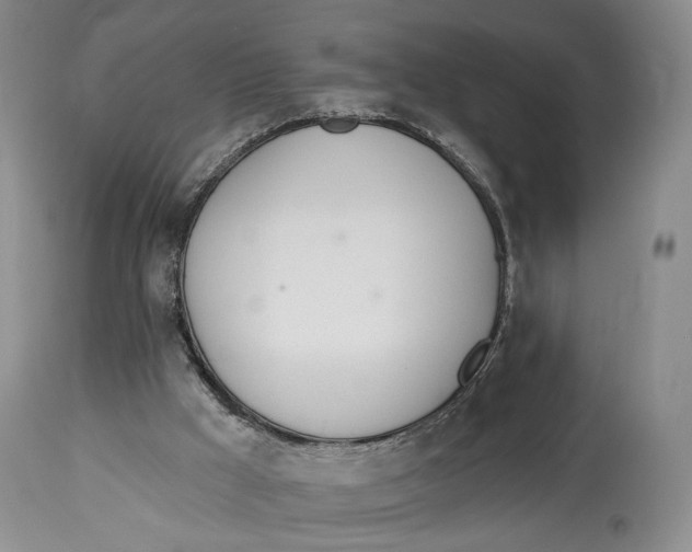 X0000114030009200910231909