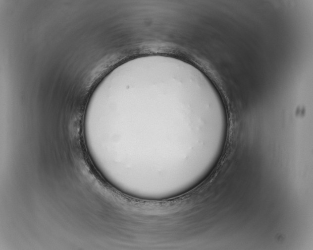 X0000114030010200910231909