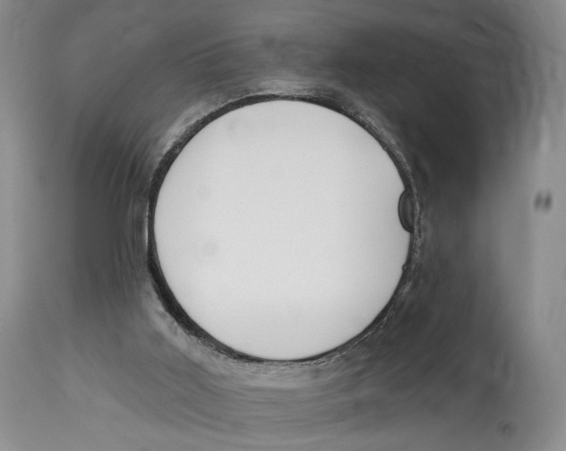 X0000114030011200910231909