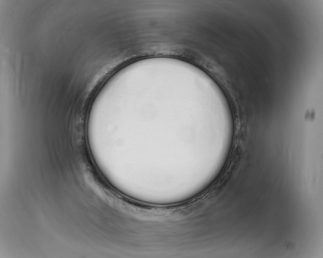 X0000114030012200910231909