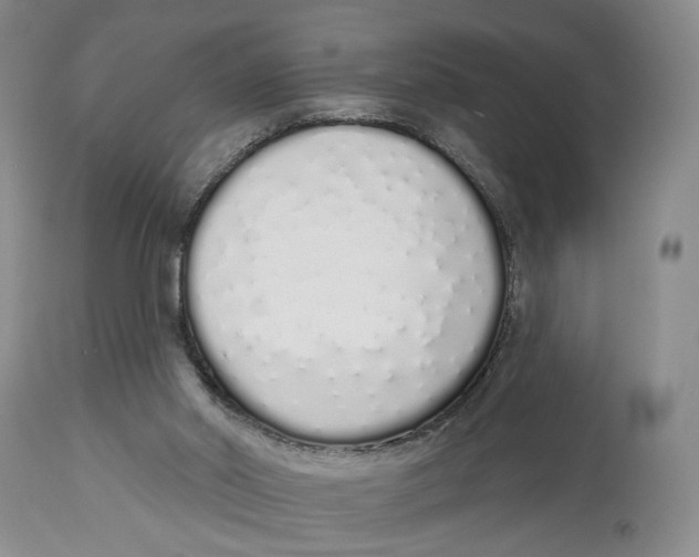 X0000114030014200910231909