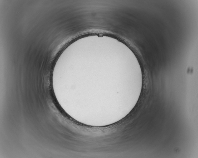 X0000114030015200910231909