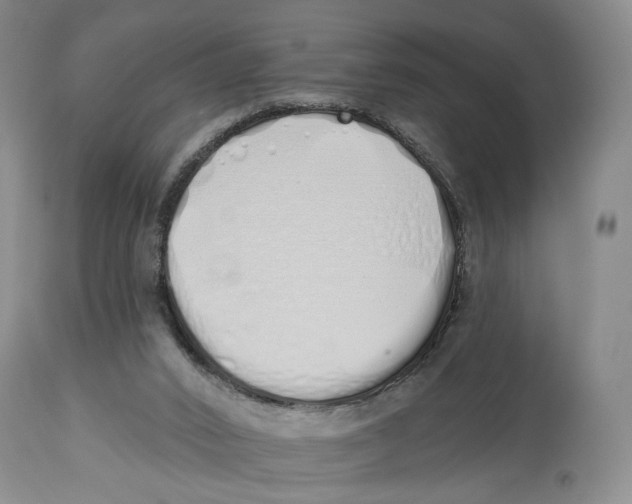 X0000114030016200910231909