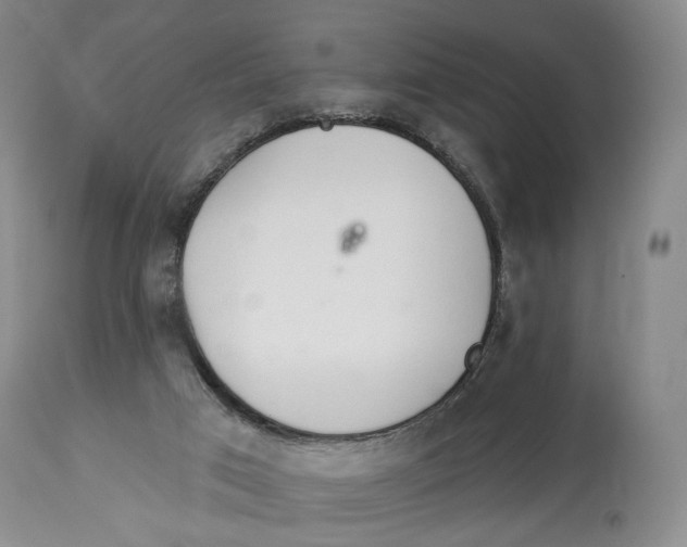 X0000114030017200910231909