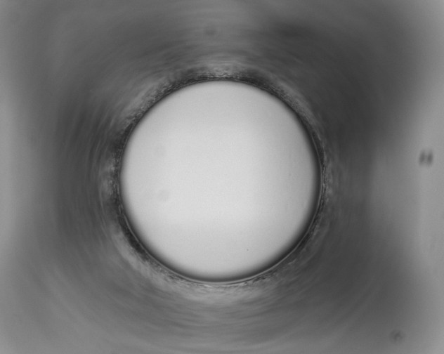 X0000114030018200910231909