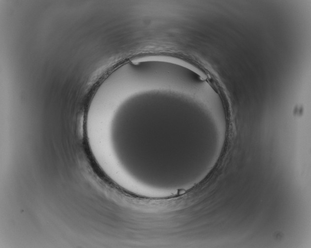 X0000114030019200910231909