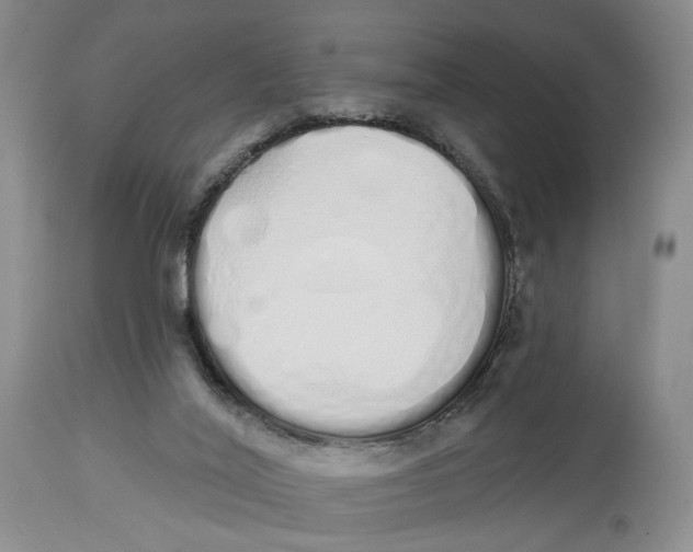 X0000114030020200910231909