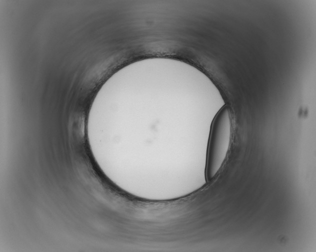 X0000114030021200910231909