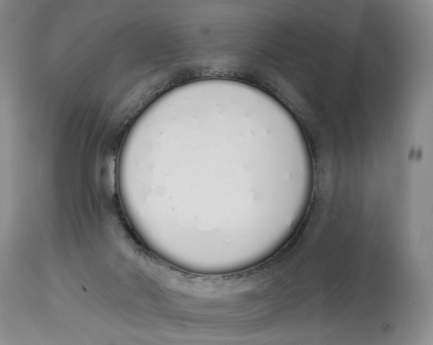 X0000114030022200910231909