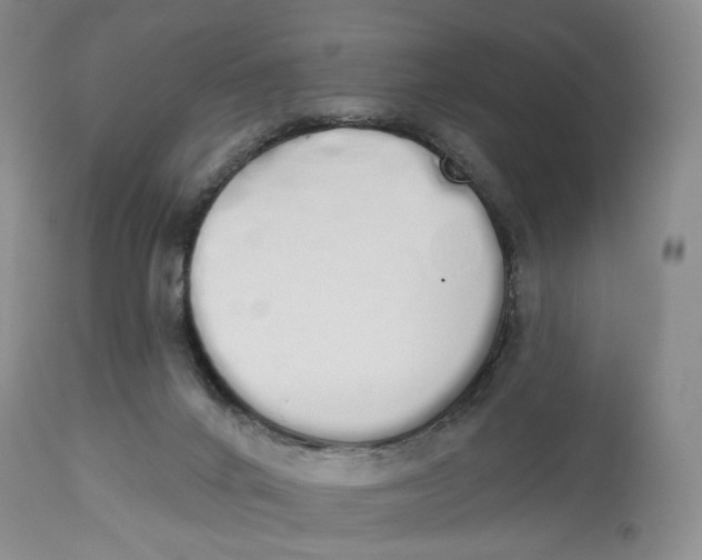 X0000114030024200910231909