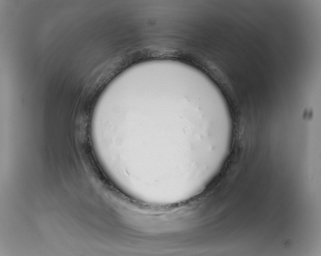 X0000114030026200910231909