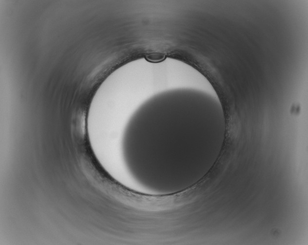 X0000114030027200910231909