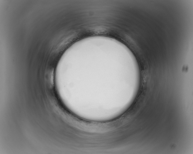 X0000114030028200910231909