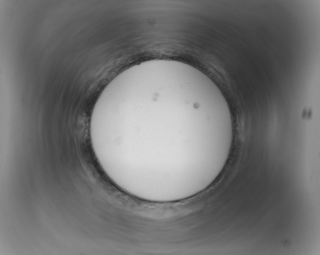 X0000114030029200910231909