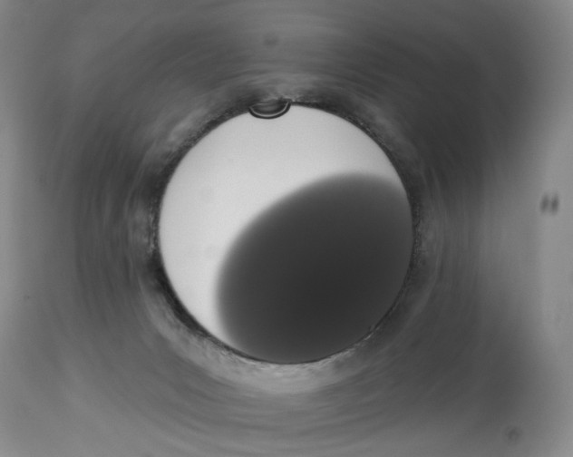 X0000114030031200910231909