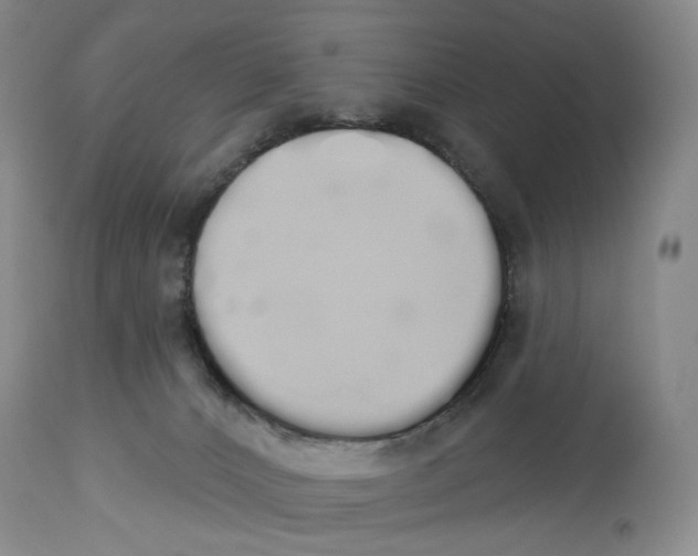 X0000114030032200910231908