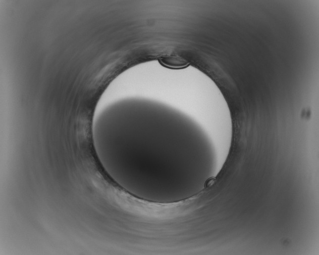 X0000114030035200910231908